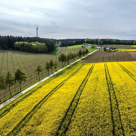 Holledau
